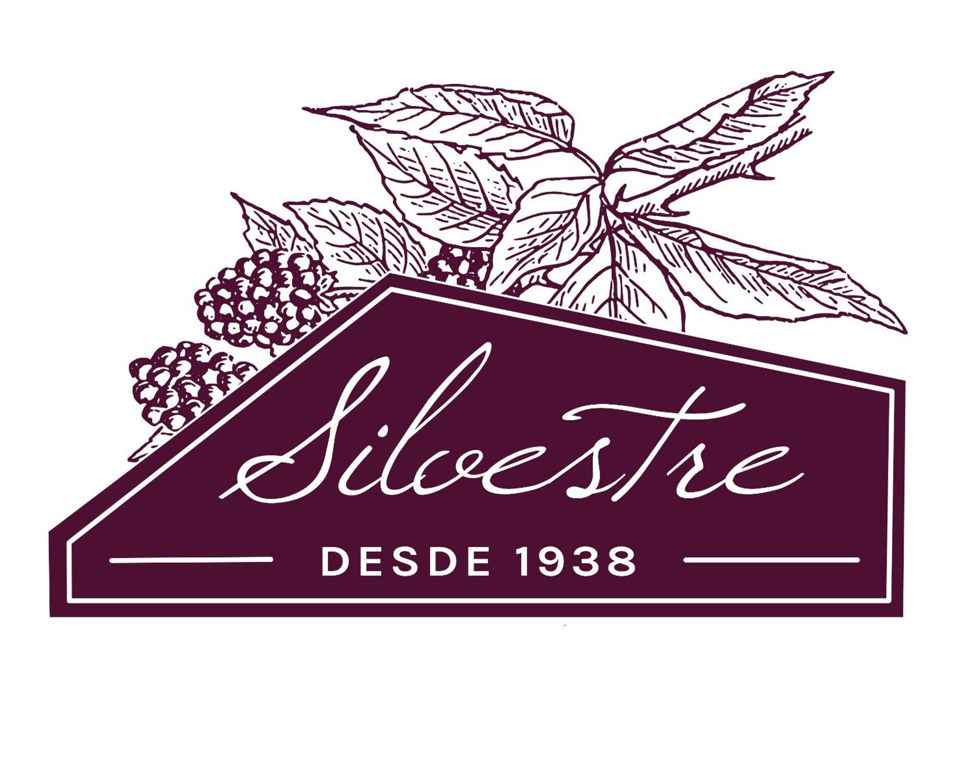 Alojamento Funchal - Silvestre House المظهر الخارجي الصورة